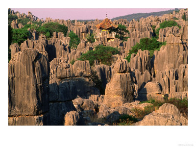 Pagoda And Limestone Karst Formations In The Stone Forest, Shi Lin, China by Keren Su Pricing Limited Edition Print image