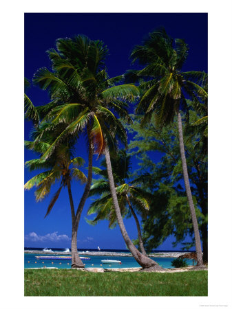 Aerial View Of Clouds And Sky From Plane Window, Bahamas by Dennis Johnson Pricing Limited Edition Print image