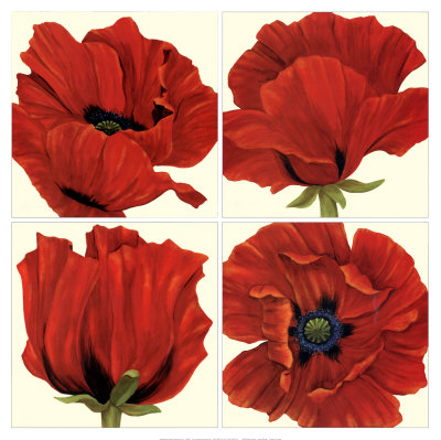 Poppy Quartet by Debra Jackson Pricing Limited Edition Print image