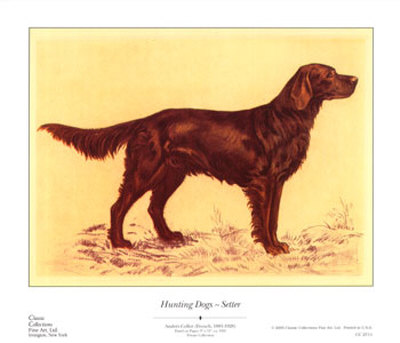 Hunting Dogs, Setter by Andres Collot Pricing Limited Edition Print image