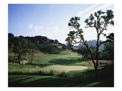 Mayacama Golf Club, Hole 13 by Stephen Szurlej Pricing Limited Edition Print image