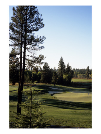 Osprey Meadow At Tamarack Resort, Hole 18 by Stephen Szurlej Pricing Limited Edition Print image