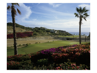 The Palmilla Golf Club by Stephen Szurlej Pricing Limited Edition Print image