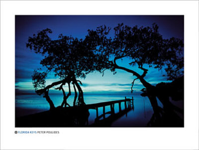 Florida Keys by Peter Poulides Pricing Limited Edition Print image