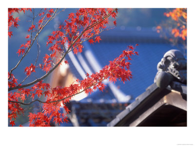 Autumn Color, Kyoto, Japan by Rob Tilley Pricing Limited Edition Print image