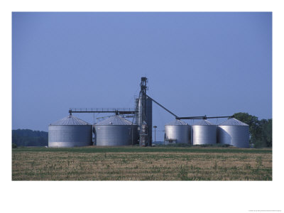 Silos And Field Of Soybeans At Chino Farms, Maryland, Usa by Jerry & Marcy Monkman Pricing Limited Edition Print image