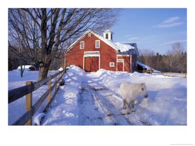 Pony And Barn Near The Lamprey River In Winter, New Hampshire, Usa by Jerry & Marcy Monkman Pricing Limited Edition Print image