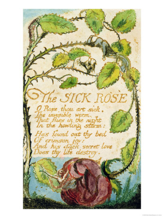 The Sick Rose, From Songs Of Innocence by William Blake Pricing Limited Edition Print image