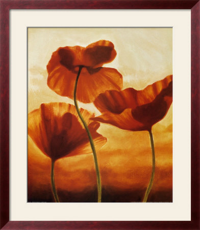 Poppies In Sunlight Ii by Andrea Kahn Pricing Limited Edition Print image