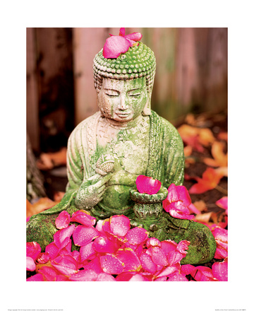 Buddha & Rose Petals by Anon Pricing Limited Edition Print image