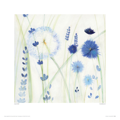Cornflower I by Janet Bell Pricing Limited Edition Print image