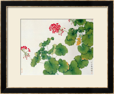 Geranium by Hsi-Tsun Chang Pricing Limited Edition Print image