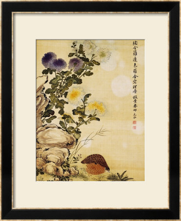 Chrysanthemums And Quail, 1702 by Ma Yuanyu Pricing Limited Edition Print image