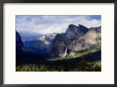 Pine Tree-Lined Valley And Grey Granite Walls Of Discovery View, Yosemite Nat. Park, California, Us by Curtis Martin Pricing Limited Edition Print image