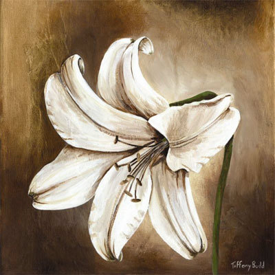 White Lily Ii by Tiffany Budd Pricing Limited Edition Print image