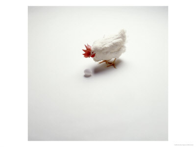 Chicken Looking At An Egg by William Swartz Pricing Limited Edition Print image