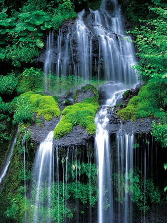 Waterfall In Forest by Kenji Fujimura Pricing Limited Edition Print image