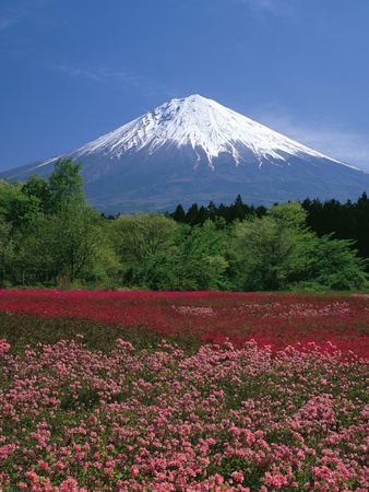 Beautiful View Of Mountain by Michihiko Kanegae Pricing Limited Edition Print image