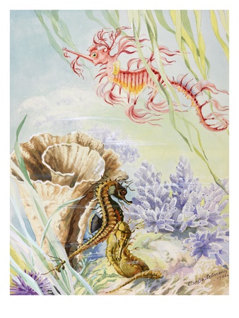 A Painting Of An Australian Barrier Reef Sea Life Scene by Else Bostelmann Pricing Limited Edition Print image