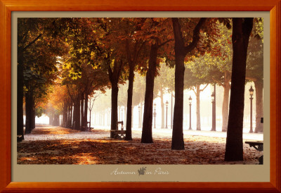 Champs - Elysees by Bo Brannhage Pricing Limited Edition Print image
