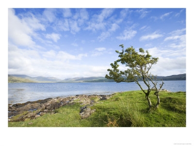 View Along Loch Scridain From Eilean A Ghaill, Scotland by Elliott Neep Pricing Limited Edition Print image