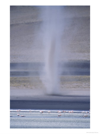 Bolivian Altiplano, Eduardo Avaroa Reserve, Bolivia by Mark Jones Pricing Limited Edition Print image