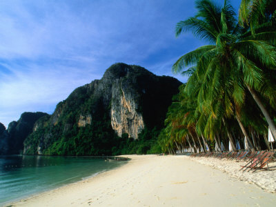 Palm Lined Beach And Limestone Cliffs At Ton Sai Beach, Ko Phi-Phi Don, Krabi, Thailand by Anders Blomqvist Pricing Limited Edition Print image