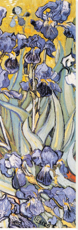 Iris Garden (Detail) by Vincent Van Gogh Pricing Limited Edition Print image