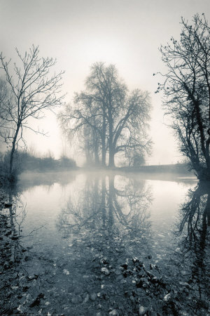 Morning Mist by Paul Knight Pricing Limited Edition Print image