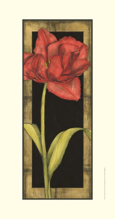 Floral Inset Iii by Jennifer Goldberger Pricing Limited Edition Print image