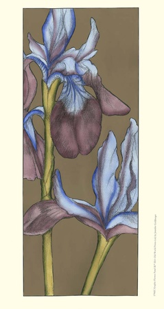 Graphic Flower Panel Iii by Jennifer Goldberger Pricing Limited Edition Print image