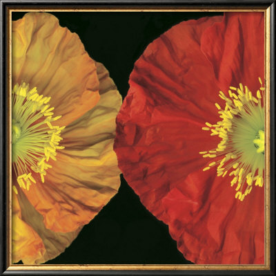 Red And Yellow I by Pip Bloomfield Pricing Limited Edition Print image