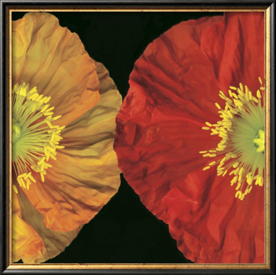 Red And Yellow I by Pip Bloomfield Pricing Limited Edition Print image
