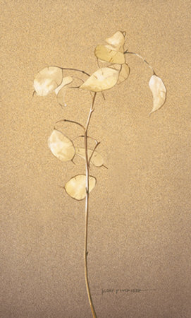 Lunaria Study Ii by Kory Fluckiger Pricing Limited Edition Print image