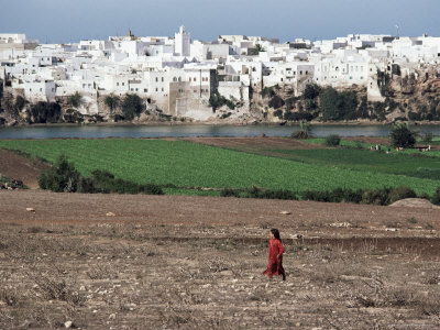 Fields Near Essaouira, Morocco, North Africa, Africa by Jon Hart Gardey Pricing Limited Edition Print image