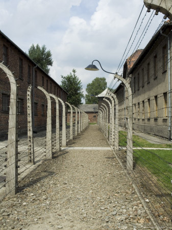 Electric Fence, Auschwitz Concentration Camp, Now A Memorial And Museum, Oswiecim Near Krakow by R H Productions Pricing Limited Edition Print image
