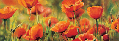 Symphonie De Coquelicots by Pierre Viollet Pricing Limited Edition Print image