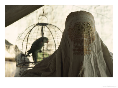 Woman In A Heavy White Veil With A Caged Parakeet, Rawalpindi, Pakistan by James L. Stanfield Pricing Limited Edition Print image