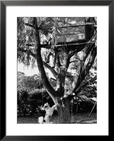 Children Playing In A Treehouse by Arthur Schatz Pricing Limited Edition Print image