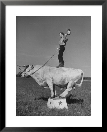 Boy Standing On Shorthorn Bull At White Horse Ranch by William C. Shrout Pricing Limited Edition Print image