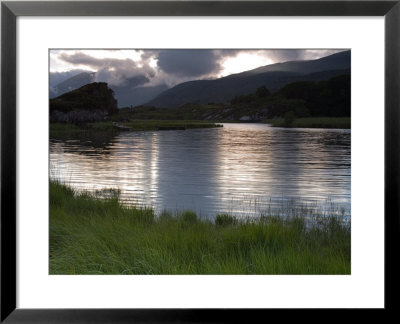 Upper Lake, Killarney National Park, County Kerry, Munster, Republic Of Ireland, Europe by Richard Cummins Pricing Limited Edition Print image