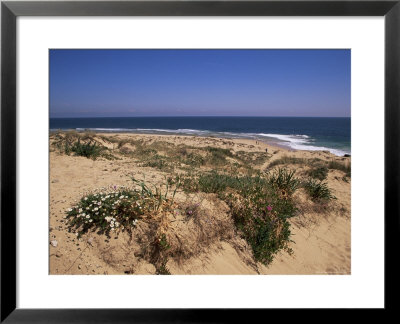 Beach, Cape Trafalgar, Andalucia, Spain by Jean Brooks Pricing Limited Edition Print image
