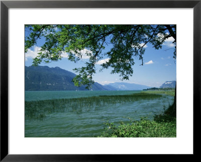 Lac Du Bourget, Near Aix Les Bains, Savoie, Rhone Alpes, France by Michael Busselle Pricing Limited Edition Print image