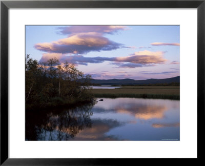 Trees And Lake At Sunset, Laponia, Lappland, Sweden, Scandinavia by Gavin Hellier Pricing Limited Edition Print image
