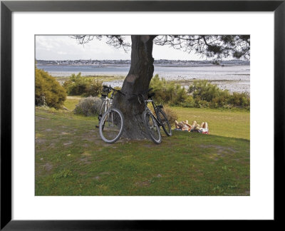 Bicycles By Tree And Couple Relaxing On The Grass, St. Pol De Leon, Carentac In Distance, Brittany by David Hughes Pricing Limited Edition Print image