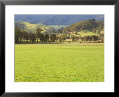 Pasture, Biggara Valley, Victoria, Australia by Jochen Schlenker Pricing Limited Edition Print image