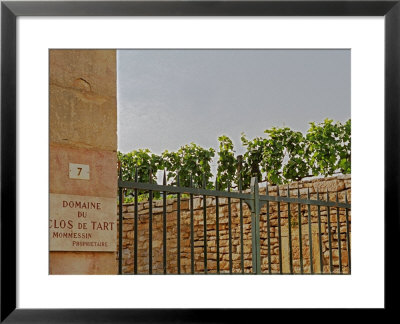 Clos De Tart Vineyard And Iron Gate In Morey Saint Denis, Bourgogne, France by Per Karlsson Pricing Limited Edition Print image