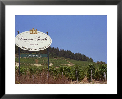 Sign For Domaine Laroche And The Les Clos Grand Cru Vineyard, Chablis, France by Per Karlsson Pricing Limited Edition Print image