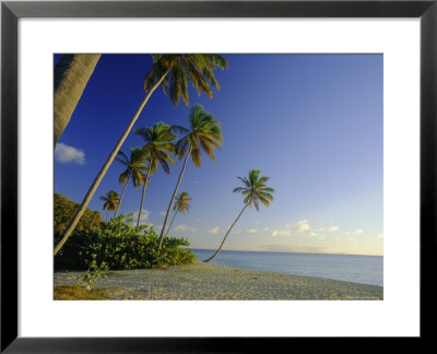 Darkwood Beach, Antigua, Caribbean, West Indies by John Miller Pricing Limited Edition Print image