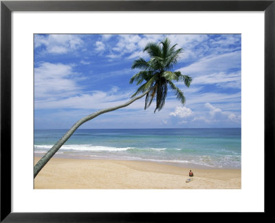 Palm Tree And Surfer, Hikkaduwa Beach, Island Of Sri Lanka, Indian Ocean, Asia by Yadid Levy Pricing Limited Edition Print image